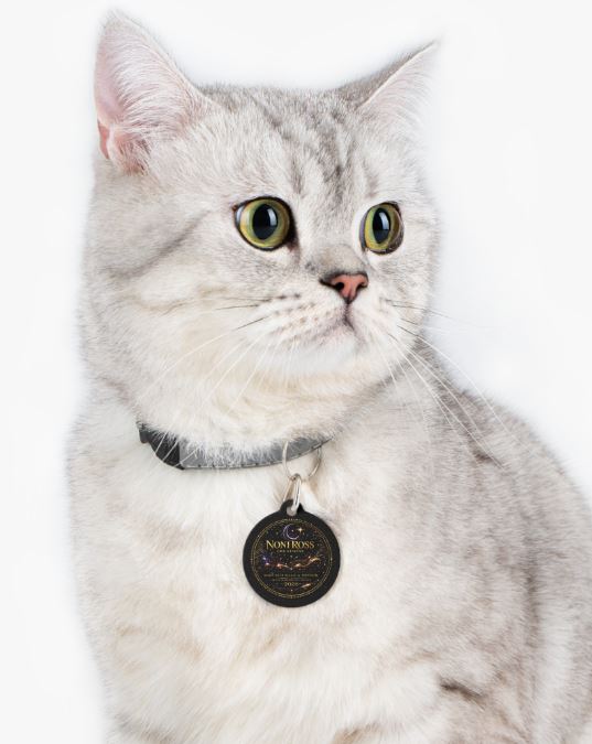 Pet collar with NRC tag placed on wooden surface highlighting size and attachment clip